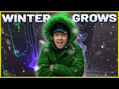 8 CRUCIAL Tips For Growing Plants in Winter