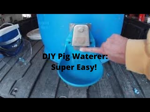 DIY Pig Waterer #Diypigwaterer #yogihollowfarm