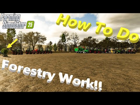 FS25! | How To Do Forestry Work! | Beginners Guide Part 11! | #fs25 | #cjfarms