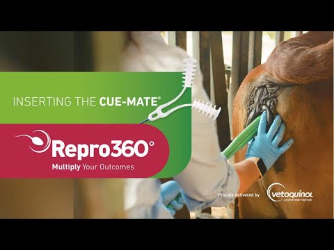 Inserting Cue-Mate® Progesterone Devices