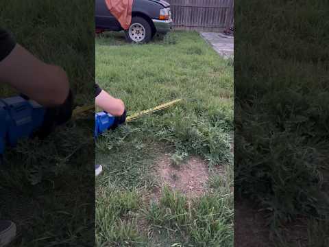 Using A Hedge Trimmer To Cut Grass