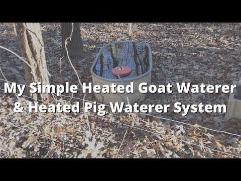 My Simple Heated Goat Waterer & Heated Pig Waterer System