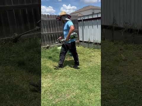 Texas Grass Satisfying Too Tall