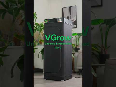 Fans? Check. Camera? Watching. Hydro? Flowing. All set, all smart. #vivosun #vgrow #asmr #setup