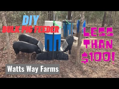 DIY Bulk Pig Feeder | Less than $100! | Detailed Build