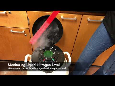 Care and Maintenance of a Liquid Nitrogen Tank - Mizzou Repro