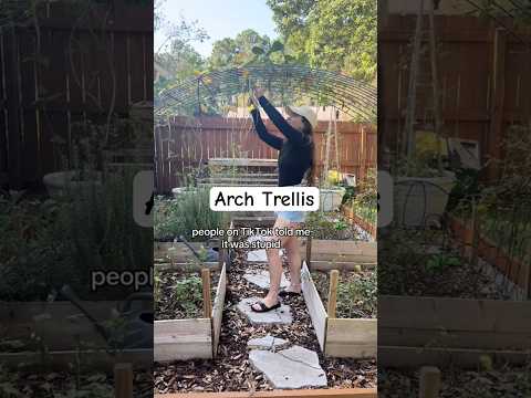 I love my mini arch trellis🪴👩‍🌾#gardendiy #diy #trellis