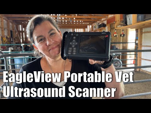 First Time Using Veterinary Ultrasound Scanner for Cow Pregnancy Check