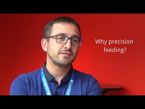 Feed-a-Gene: Development of a decision support system for precision feeding in pigs and poultry