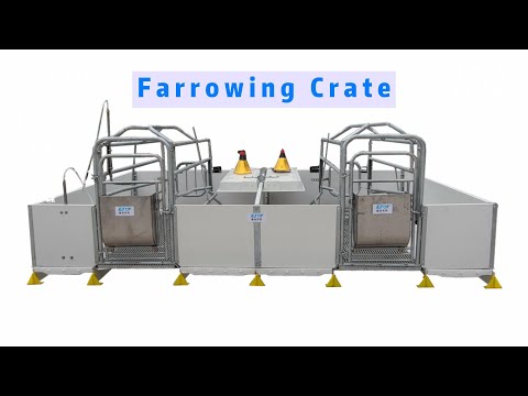 European-style welfare farrowing crate assembly process# Pig equipment,#pig