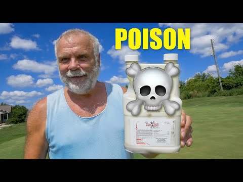 All the Chemicals Used on a Backyard Golf Green