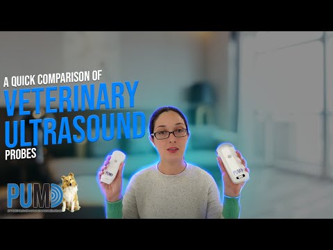 A Quick Comparison of Veterinary Wireless Ultrasound Probes