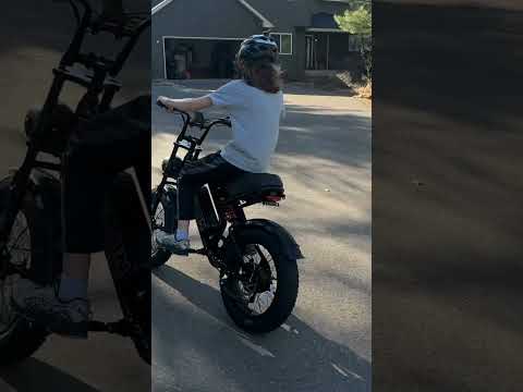 TALON T757 Fat Tire E-Bike