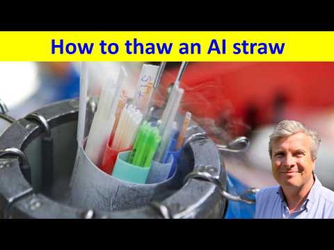 How to thaw the AI straw.