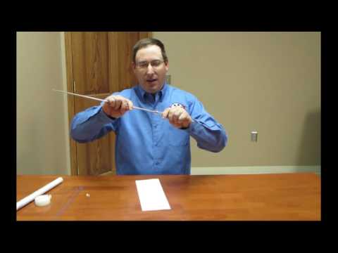 Artificial Insemination Gun