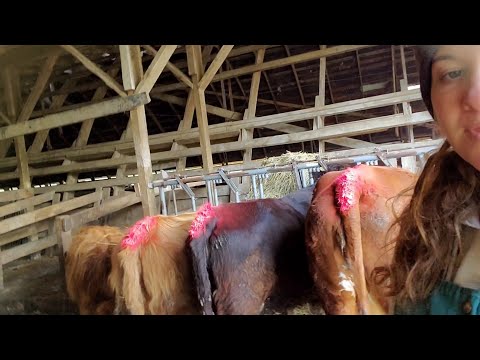 Heat Detection Using Tail Paint