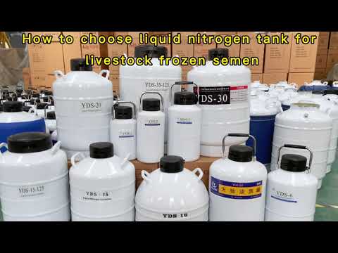 How to choose a liquid nitrogen tank for the use of livestock frozen semen