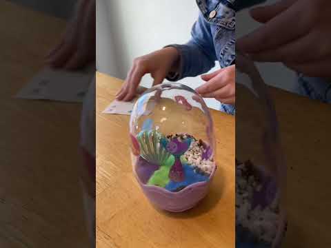 How to make a Mini Garden #minigarden