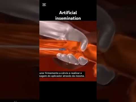 Artificial insemination in cow #ArtificialInsemination #DairyFarming #CattleBreeding #Livestock