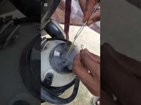 scientific method semen straw thawing #cow