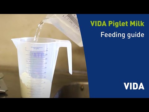 How to prepare and feed VIDA milk | ForFarmers Pig