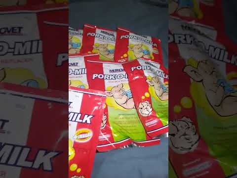 Problema sa gatas ang inahing baboy? i Pork - O - Milk lang yan #forpiglets #sowmilkreplacer