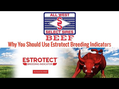 Why You Should Use Estrotect Breeding Indicators