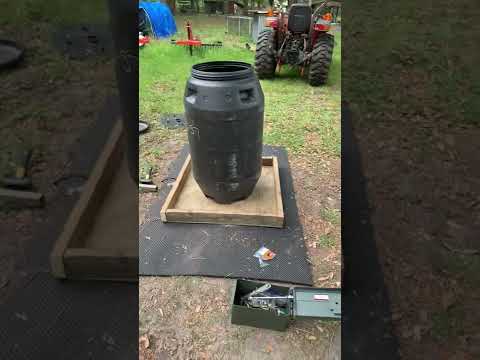 Gravity fed 50 gallon hog feeder made from a pickle barrel and a rubber horse stall mat