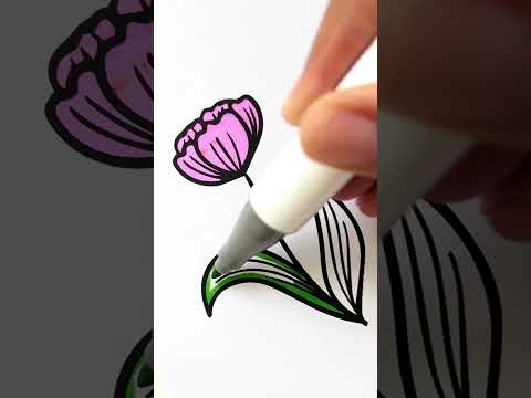 Tulip ASMR Colouring With Markers