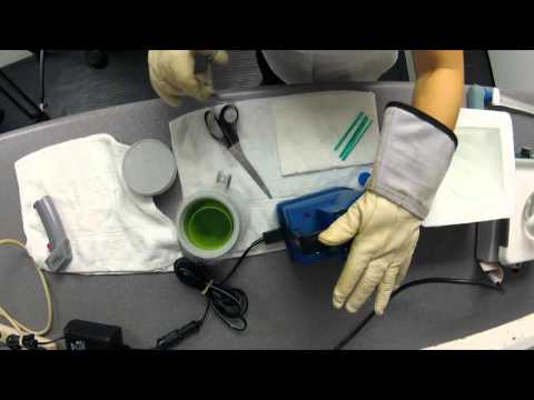 How to thaw frozen swine semen - OSI Genetics - Canada