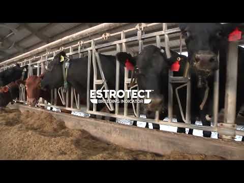 What is the ESTROTECT™ Breeding Indicator? | ESTROTECT