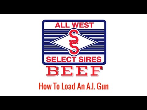 How To Load An A.I. Gun