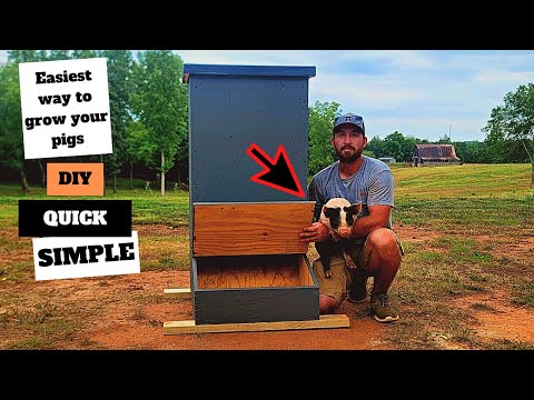 The only DIY pig feeder viedo you need to watch!