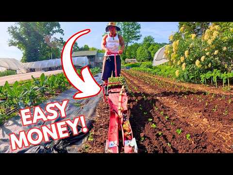 5 Tools I Could NEVER Make Money Market Farming Without...