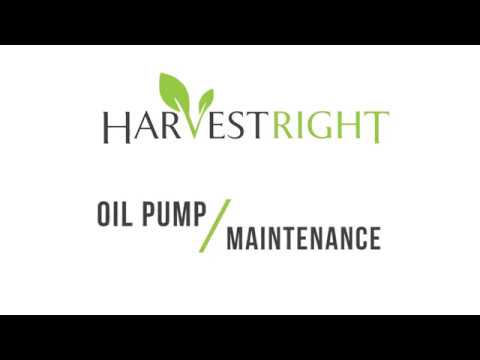 Oil Change