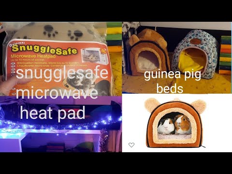 snugglesafe review. guinea pig beds review. how to keep skinny pigs warm this Christmas.