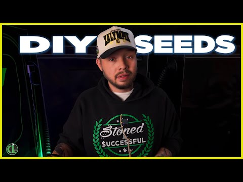 If Seeds Get Banned, THIS Is How You Make Your Own at Home!