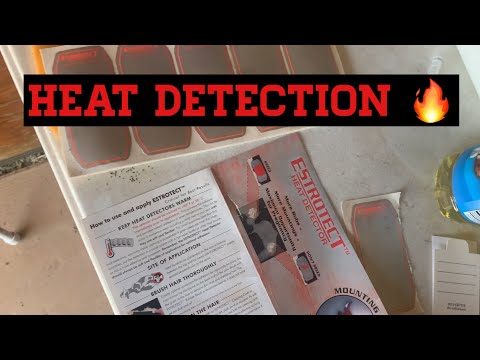 How to Heat Detect Your Cows. Estrotect Heat Detectors.  Product Review. How to.  And why.