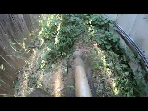 POV Weed Wacking