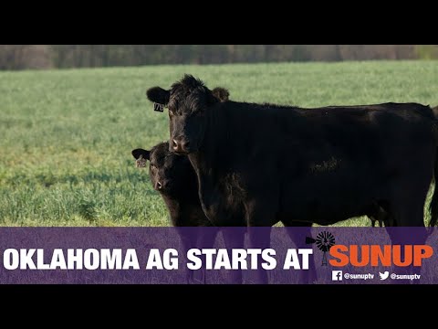 Cow-Calf Corner - Estrus Synchronization & Breeding (5/29/21)