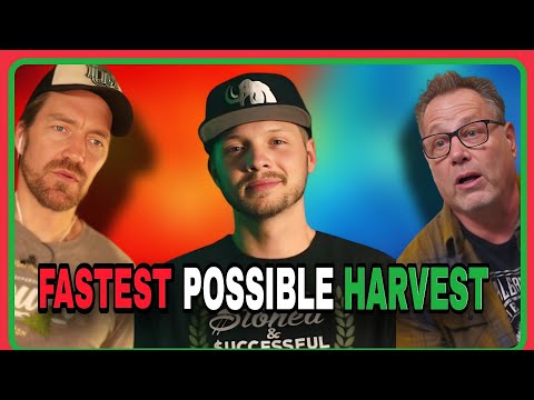 The Fastest Way to Harvest: Proven Grower Tips w/ CLTV Rob
