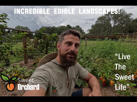 Sweet Orchard Edible Landscape Intro