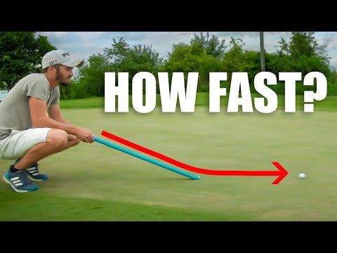 Our Backyard Green is Finally Fast!